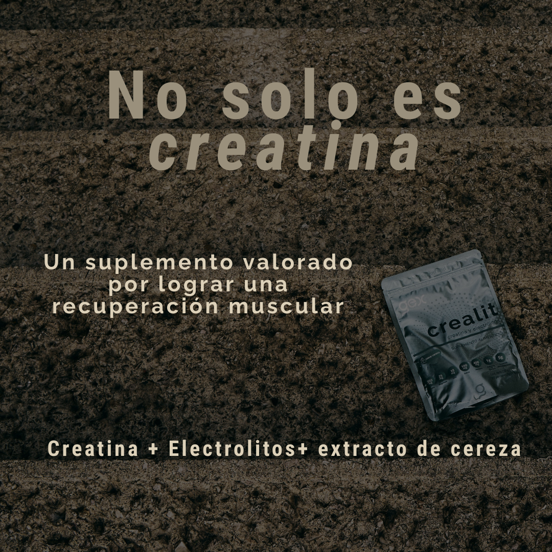 Sachet Crealit | Monohidrato de Creatina + electrolitos + antioxidantes | Recuperación Muscular| Sabor cereza - Good Express