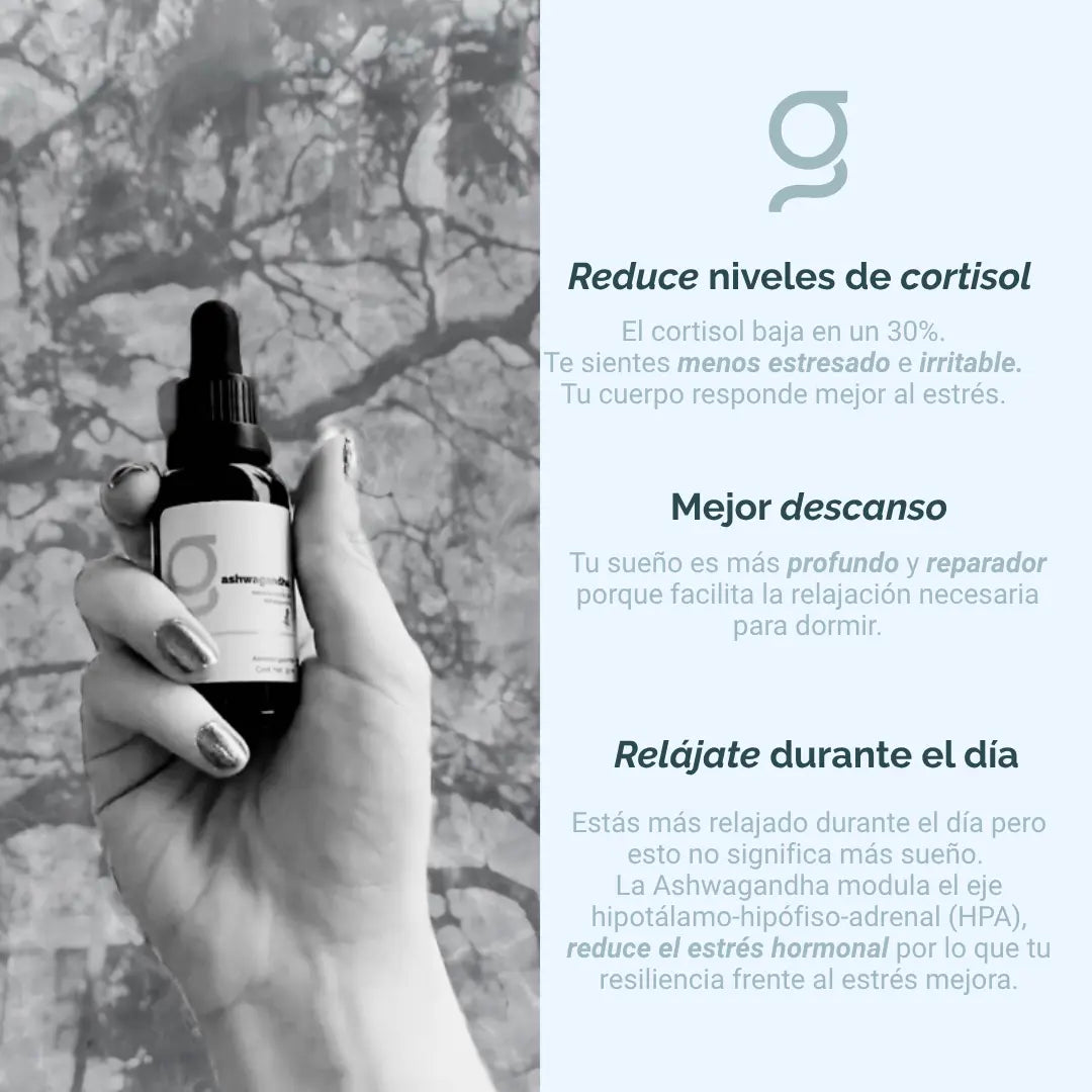 Extracto puro de Ashwagandha 30 ml 30 porciones 25mg witanólidos por porción Good Express mx