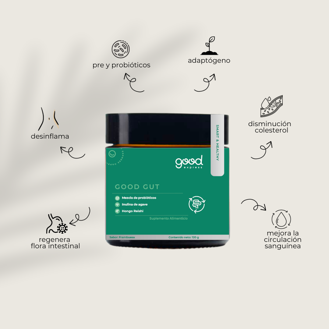 Good Gut | 30 porciones | Prebióticos, probióticos y hongo Reishi - Good Express mxSuplemento Alimenticio