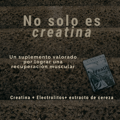 Sachet Crealit | Monohidrato de Creatina + electrolitos + antioxidantes  | Recuperación Muscular| Sabor cereza - Good Express