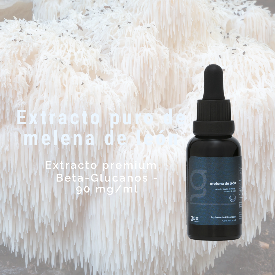 Extracto puro Melena de León 30 porciones | Alta biodisponibilidad | Apoyo Cognitivo | Suplemento Alimenticio  en líquido | Good Express