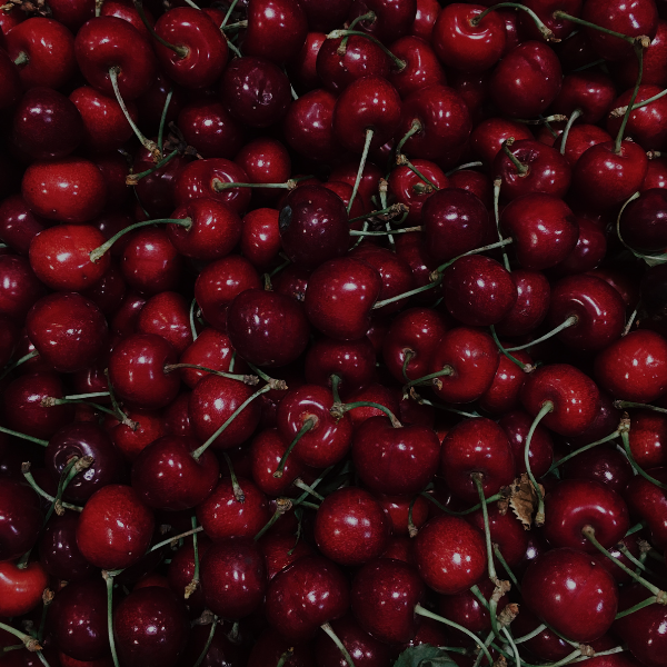 element5os good (600 x 600 px).png__PID:b8bc77e6-7dee-46e3-afea-dd1553ffe23d